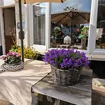 Hotel \'t Witte Huys Scheveningen