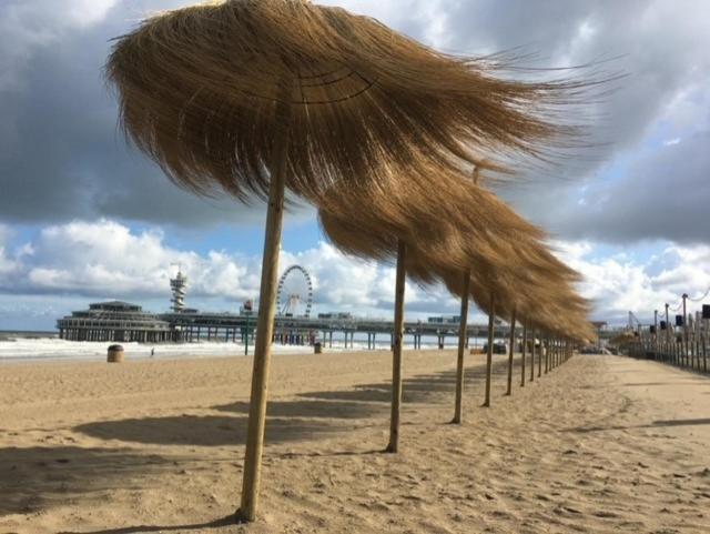't Witte Huys Scheveningen Den Haag